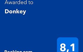 Donkey